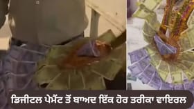 ਬਲਿੰਕਿਟ ਏਜੰਟ ਨੂੰ ਪੇਮੈਂਟ 'ਚ ਮਿਲੀ ਲਾੜੇ ਦੇ ਨੋਟਾਂ ਦਾ ਮਾਲਾ, VIDEO ਵਾਇਰਲ