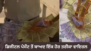 ਬਲਿੰਕਿਟ ਏਜੰਟ ਨੂੰ ਪੇਮੈਂਟ 'ਚ ਮਿਲੀ ਲਾੜੇ ਦੇ ਨੋਟਾਂ ਦਾ ਮਾਲਾ, VIDEO ਵਾਇਰਲ