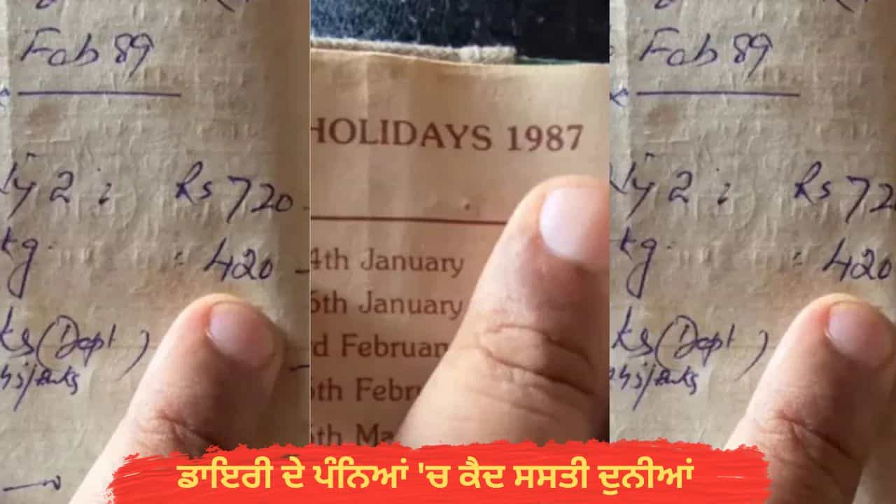 OMG! 1989 ਦਾ ਖਰਚ ਦੇਖ ਹੈਰਾਨ ਰਹਿ ਜਾਓਗੇ ਤੁਸੀਂ, ਇੱਕ ਰੁਪਏ ਪ੍ਰਤੀ ਕਿਲੋ ਆਲੂ ਤੇ ਜਸ਼ਨ... ਡਾਇਰੀ ਦੇ ਪੰਨਿਆਂ ਚ ਕੈਦ ਸਸਤੀ ਦੁਨੀਆਂ