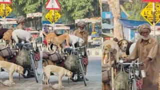 OMG! ਨਾ ਕੋਈ ਪੱਟਾ, ਨਾ ਚੇਨ, ਬਸ ਭਰੋਸਾ… ਠੇਲਾ ਚਾਲਕ ਬਾਬਾ ਤੇ ਉਸ ਦੇ 5 ਮੂਕ ਸਾਥੀਆਂ ਦਾ Viral Video