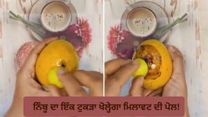 Video: ਅੰਬ ਖਾਣ ਤੋਂ ਪਹਿਲਾਂ ਦੇਖ ਲਵੋ ਇਹ ਵੀਡੀਓ, ਨਿੰਬੂ ਨਾਲ ਖੁਲ੍ਹੇਗਾ ਸੱਚ