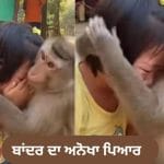 Viral Video: ਬਾਂਦਰ ਦਾ ਅਨੋਖਾ ਪਿਆਰ, ਰੋਂਦੀ ਬੱਚੀ ਨੂੰ ਪੁਚਕਾਰ ਕੇ ਕਰਵਾਇਆ ਸ਼ਾਂਤ, ਦਿਲ ਛੂਹ ਲੈਣ ਵਾਲਾ ਵੀਡੀਓ ਵਾਇਰਲ