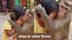 Video: ਬਾਂਦਰ ਦਾ ਅਨੋਖਾ ਪਿਆਰ, ਰੋਂਦੀ ਬੱਚੀ ਦੇ ਸਿਰ ਤੇ ਹੱਥ ਫੇਰਕੇ ਕਰਵਾਇਆ ਚੁੱਪ
