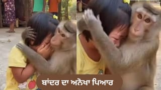 Viral Video: ਬਾਂਦਰ ਦਾ ਅਨੋਖਾ ਪਿਆਰ, ਰੋਂਦੀ ਬੱਚੀ ਨੂੰ ਪੁਚਕਾਰ ਕੇ ਕਰਵਾਇਆ ਸ਼ਾਂਤ, ਦਿਲ ਛੂਹ ਲੈਣ ਵਾਲਾ ਵੀਡੀਓ ਵਾਇਰਲ