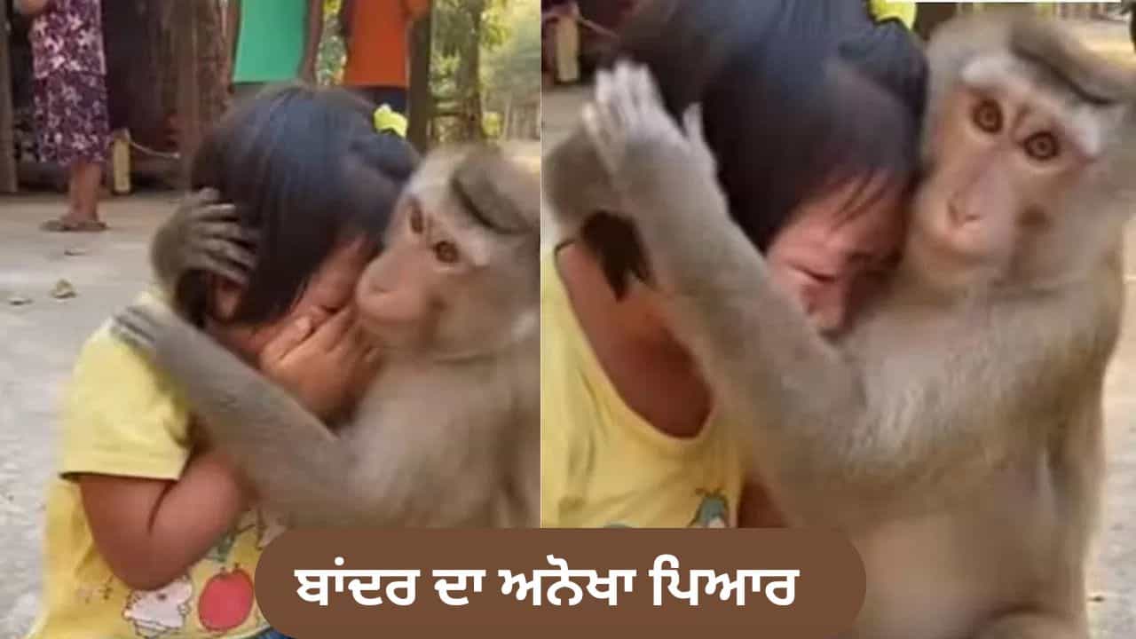 Viral Video: ਬਾਂਦਰ ਦਾ ਅਨੋਖਾ ਪਿਆਰ, ਰੋਂਦੀ ਬੱਚੀ ਨੂੰ ਪੁਚਕਾਰ ਕੇ ਕਰਵਾਇਆ ਸ਼ਾਂਤ, ਦਿਲ ਛੂਹ ਲੈਣ ਵਾਲਾ ਵੀਡੀਓ ਵਾਇਰਲ