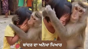 Video: ਬਾਂਦਰ ਦਾ ਅਨੋਖਾ ਪਿਆਰ, ਰੋਂਦੀ ਬੱਚੀ ਦੇ ਸਿਰ ਤੇ ਹੱਥ ਫੇਰਕੇ ਕਰਵਾਇਆ ਚੁੱਪ