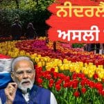PM Modi in Netherlands: ਨੀਦਰਲੈਂਡ ਦੇ ਕਿਹੜੇ ਖਜ਼ਾਨੇ ਨੇ ਇਸ ਨੂੰ ਅਮੀਰ ਦੇਸ਼ ਬਣਾਇਆ? ਜਿੱਥੇ ਪਹੁੰਚੇ ਪ੍ਰਧਾਨ ਮੰਤਰੀ ਮੋਦੀ