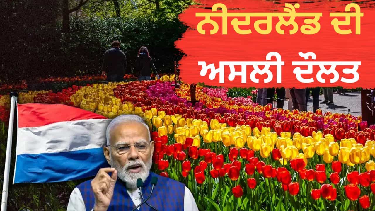 PM Modi in Netherlands: ਨੀਦਰਲੈਂਡ ਦੇ ਕਿਹੜੇ ਖਜ਼ਾਨੇ ਨੇ ਇਸ ਨੂੰ ਅਮੀਰ ਦੇਸ਼ ਬਣਾਇਆ? ਜਿੱਥੇ ਪਹੁੰਚੇ ਪ੍ਰਧਾਨ ਮੰਤਰੀ ਮੋਦੀ