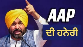 AAP ਦੀ ਹਨੇਰੀ ਅੱਗੇ ਵਿਰੋਧੀ ਪਸਤ; ਜਾਣੋ ਕਿਸ ਦੇ ਖਾਤੇ ਆਈਆਂ ਕਿੰਨੀਆਂ ਸੀਟਾਂ