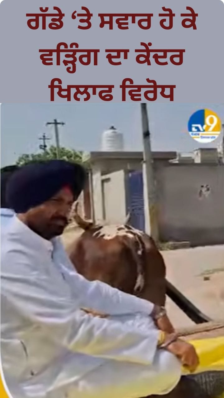 ਗੱਡੇ 'ਤੇ ਵੋਟ ਪਾਉਣ ਪਹੁੰਚੇ ਪੰਜਾਬ ਕਾਂਗਰਸ ਪ੍ਰਧਾਨ ਰਾਜਾ ਵੜਿੰਗ