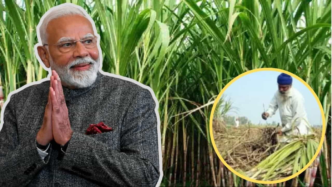 ਕੇਂਦਰ ਸਰਕਾਰ ਦੀ ਗੰਨਾ ਕਿਸਾਨਾਂ ਨੂੰ ਵੱਡੀ ਰਾਹਤ, 2026-27 ਸੀਜ਼ਨ ਲਈ ਗੰਨੇ ਦੀ ਕੀਮਤ 365 ਰੁਪਏ ਪ੍ਰਤੀ ਕੁਇੰਟਲ ਤੈਅ
