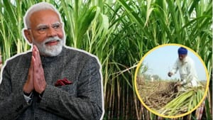 2026-27 ਸੀਜ਼ਨ ਲਈ ਗੰਨੇ ਦੀ ਕੀਮਤ 365 ਰੁਪਏ ਪ੍ਰਤੀ ਕੁਇੰਟਲ ਤੈਅ, ਜਾਣੋ