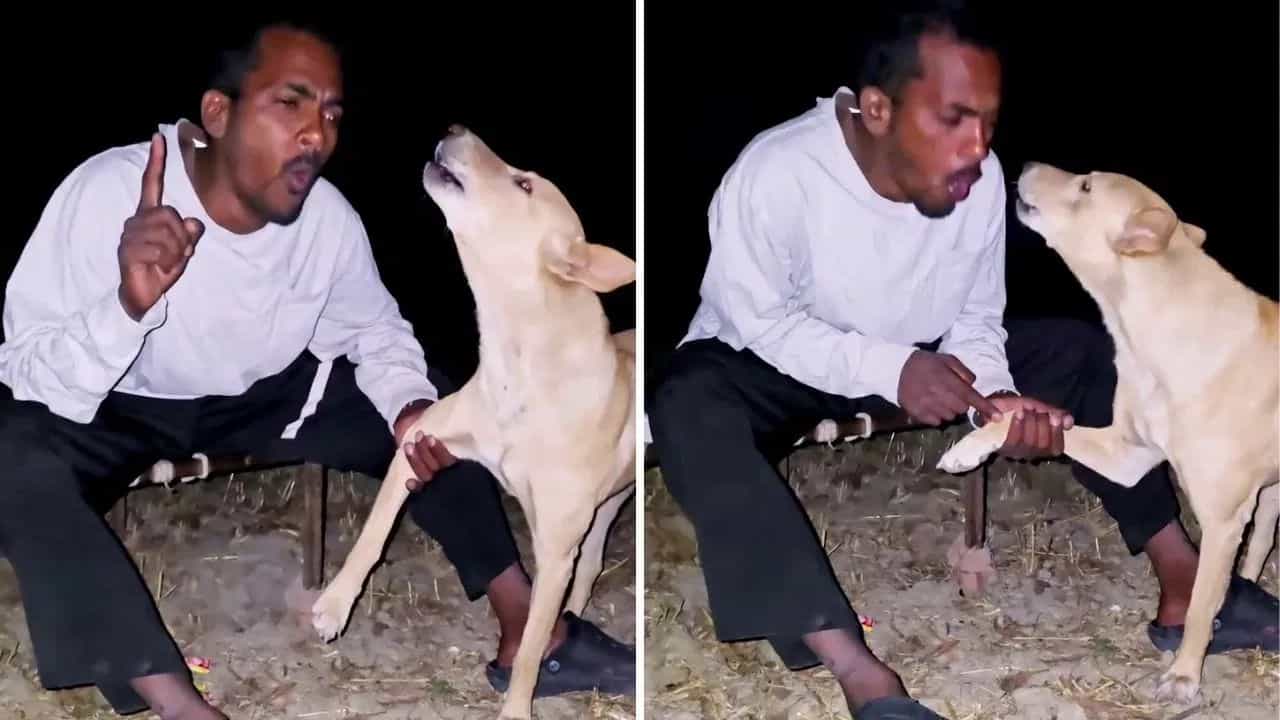 Viral Video: ਇਨਸਾਨ ਦਾ ਦਰਦ ਦੇਖ ਕੇ ਕੁੱਤਾ ਹੋਇਆ ਭਾਵੁਕ! ਸ਼ਖ਼ਸ ਦੇ ਅਨੋਖੇ ਕਨਫੈਸ਼ਨ ਨੇ ਇੰਟਰਨੈੱਟ ਤੇ ਮਚਾਇਆ ਗਦਰ