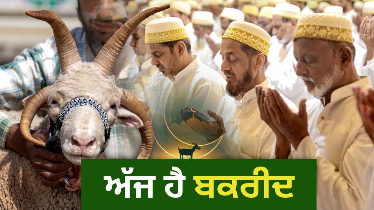 Bakrid 2026: ਅੱਜ ਦੇਸ਼ ਭਰ ਚ ਮਨਾਇਆ ਜਾ ਰਿਹਾ ਬਕਰੀਦ ਦਾ ਤਿਉਹਾਰ, ਜਾਣੋ ਤਿੰਨ ਦਿਨਾਂ ਤੱਕ ਕਿਉਂ ਦਿੱਤੀ ਜਾਂਦੀ ਕੁਰਬਾਨੀ Bakrid 2026: ਅੱਜ ਦੇਸ਼ ਭਰ ਚ ਮਨਾਇਆ ਜਾ ਰਿਹਾ ਬਕਰੀਦ ਦਾ ਤਿਉਹਾਰ, ਜਾਣੋ ਤਿੰਨ ਦਿਨਾਂ ਤੱਕ ਕਿਉਂ ਦਿੱਤੀ ਜਾਂਦੀ ਕੁਰਬਾਨੀ