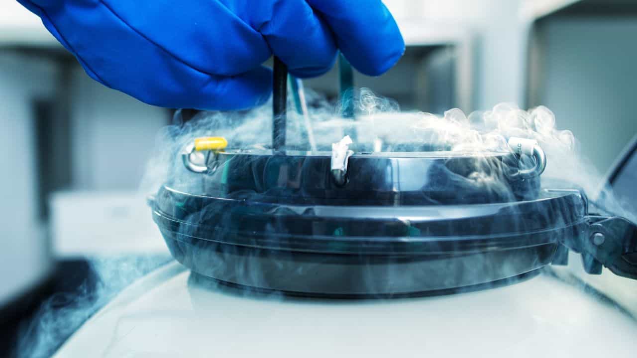 Egg Freezing ਤੋਂ ਬਾਅਦ ਜੇਕਰ ਮਹਿਲਾ ਅੰਡਿਆਂ ਦਾ ਇਸਤੇਮਾਲ ਨਾ ਕਰੇ ਤਾਂ ਕੀ ਹੁੰਦਾ ਹੈ? ਜਾਣੋ ਮਾਹਿਰ ਕੀ ਕਹਿੰਦੇ ਹਨ Egg Freezing ਤੋਂ ਬਾਅਦ ਜੇਕਰ ਮਹਿਲਾ ਅੰਡਿਆਂ ਦਾ ਇਸਤੇਮਾਲ ਨਾ ਕਰੇ ਤਾਂ ਕੀ ਹੁੰਦਾ ਹੈ? ਜਾਣੋ ਮਾਹਿਰ ਕੀ ਕਹਿੰਦੇ ਹਨ