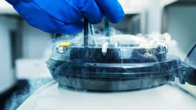 Egg Freezing ਤੋਂ ਬਾਅਦ ਜੇਕਰ ਮਹਿਲਾ ਅੰਡਿਆਂ ਦਾ ਇਸਤੇਮਾਲ ਨਾ ਕਰੇ ਤਾਂ ਕੀ ਹੁੰਦਾ ਹੈ? ਜਾਣੋ ਮਾਹਿਰ ਕੀ ਕਹਿੰਦੇ ਹਨ...