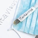Hanta Virus: ਕੀ ਹੰਤਾ ਵਾਇਰਸ ਬਣੇਗਾ ਵੱਡਾ ਖ਼ਤਰਾ? ਐਕਸਪਰਟ ਤੋਂ ਜਾਣੋ