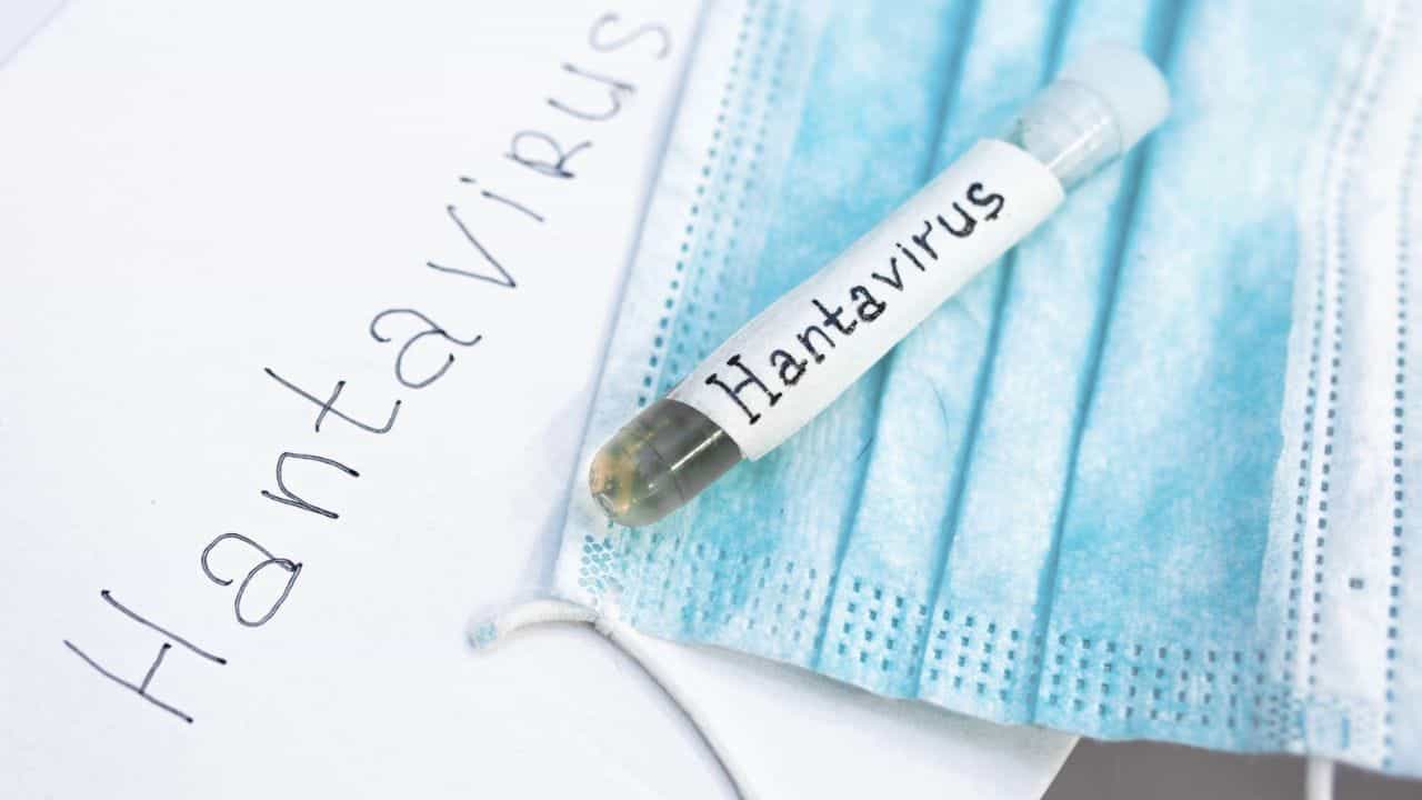 Hanta Virus: ਕੀ ਹੰਤਾ ਵਾਇਰਸ ਬਣੇਗਾ ਵੱਡਾ ਖ਼ਤਰਾ? ਐਕਸਪਰਟ ਤੋਂ ਜਾਣੋ
