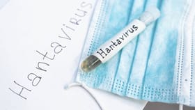 Hanta Virus: ਕੀ ਹੰਤਾ ਵਾਇਰਸ ਬਣੇਗਾ ਵੱਡਾ ਖ਼ਤਰਾ? ਐਕਸਪਰਟ ਤੋਂ ਜਾਣੋ...