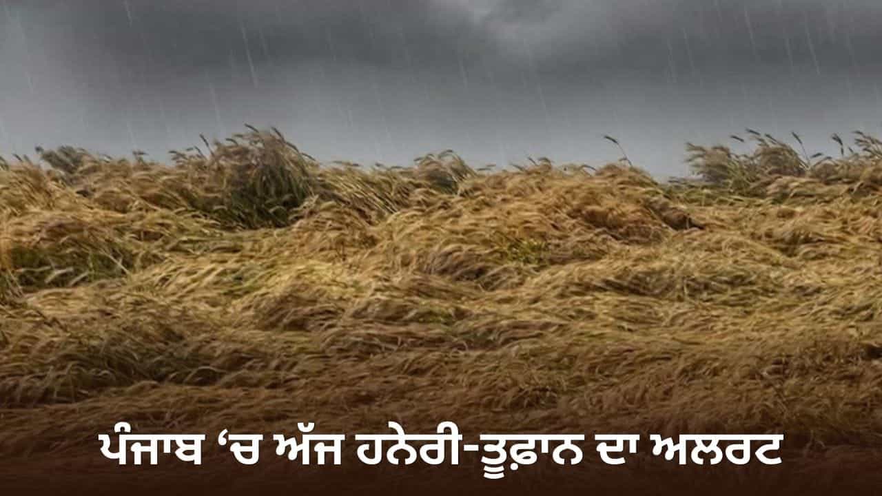 ਪੰਜਾਬ ਭਰ ਚ ਅੱਜ ਤੂਫ਼ਾਨ ਦਾ ਅਲਰਟ ਤੇ ਬਾਰਿਸ਼ ਦੀ ਭਵਿੱਖਬਾਣੀ, ਜਾਣੋ ਮੌਸਮ ਦਾ ਹਾਲ ਪੰਜਾਬ ਭਰ ਚ ਅੱਜ ਤੂਫ਼ਾਨ ਦਾ ਅਲਰਟ ਤੇ ਬਾਰਿਸ਼ ਦੀ ਭਵਿੱਖਬਾਣੀ, ਜਾਣੋ ਮੌਸਮ ਦਾ ਹਾਲ