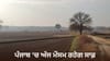 ਪੰਜਾਬ 'ਚ ਅੱਜ ਮੌਸਮ ਸਾਫ਼, ਕੱਲ੍ਹ ਬਾਰਿਸ਼ ਦੀ ਭਵਿੱਖਬਾਣੀ; ਜਾਣੋ ਮੌਸਮ ਦਾ ਹਾਲ...