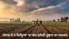 ਪੰਜਾਬ ਦੇ 3 ਜ਼ਿਲ੍ਹਿਆਂ 'ਚ ਅੱਜ ਤੂਫਾਨ ਦਾ ਅਲਰਟ, ਤਾਪਮਾਨ 'ਚ 1.2 ਡਿਗਰੀ ਦਾ ਵਾਧਾ
