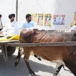 ਗੱਡੇ ‘ਤੇ ਵੋਟ ਪਾਉਣ ਪਹੁੰਚੇ ਰਾਜਾ ਵੜਿੰਗ, ਤੇਲ ਦੇ ਰੇਟਾਂ ਖਿਲਾਫ਼ ਮੋਦੀ ਸਰਕਾਰ ਖਿਲਾਫ਼ ਪ੍ਰਦਰਸ਼ਨ