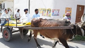 ਪੈਟਰੋਲ-ਡੀਜ਼ਲ ਦੇ ਵਧੇ ਰੇਟ, ਰਾਜਾ ਵੜਿੰਗ ਨੇ ਚੁਣੀ ਕਿਫਾਇਤੀ ਸਵਾਰੀ ਪੈਟਰੋਲ-ਡੀਜ਼ਲ ਦੇ ਵਧੇ ਰੇਟ, ਰਾਜਾ ਵੜਿੰਗ ਨੇ ਚੁਣੀ ਕਿਫਾਇਤੀ ਸਵਾਰੀ