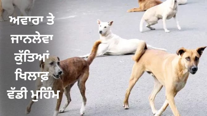 ਅਵਾਰਾ ਕੁੱਤਿਆਂ ਨੂੰ ਹਟਾਉਣ ਲਈ ਮੁਹਿੰਮ ਅੱਜ ਤੋਂ ਸ਼ੁਰੂ, ਸੀਐਮ ਮਾਨ ਨੇ ਕੀਤਾ ਟਵੀਟ
