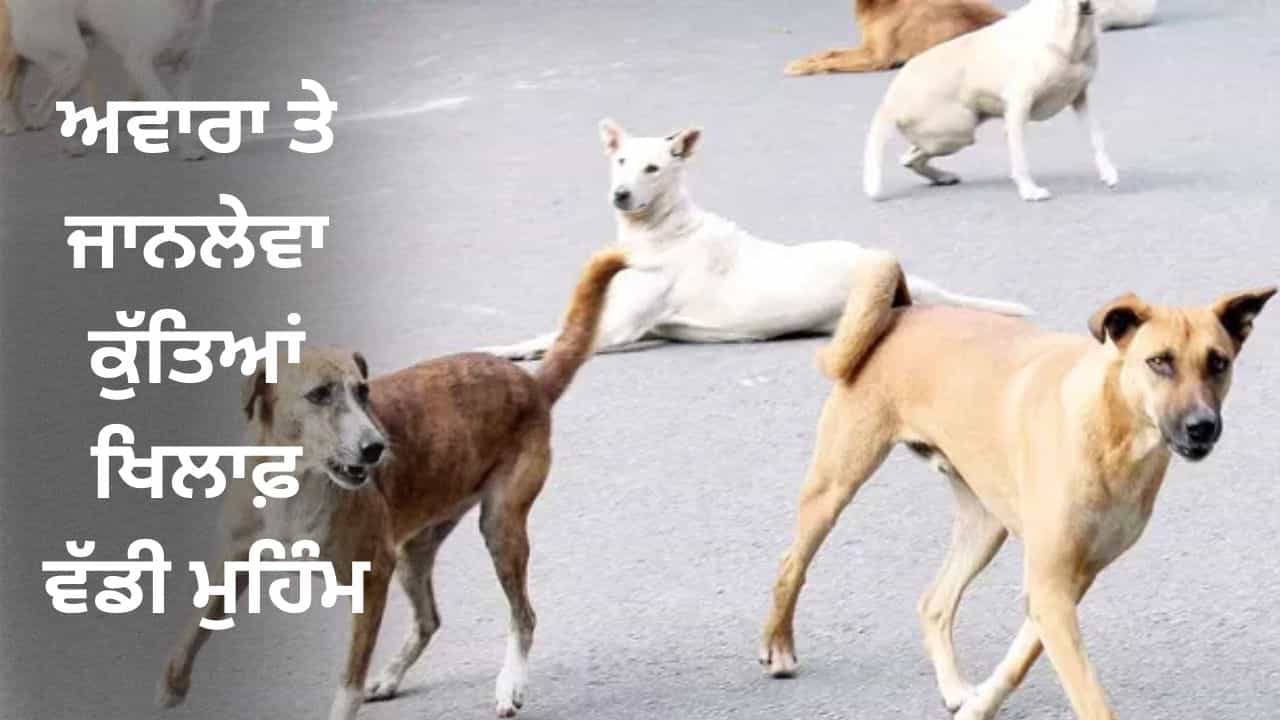ਅਵਾਰਾ ਕੁੱਤਿਆਂ ਨੂੰ ਹਟਾਉਣ ਲਈ ਪੰਜਾਬ ਚ ਮੁਹਿੰਮ ਸ਼ੁਰੂ, ਸੀਐਮ ਨੇ ਅਦਾਲਤ ਦੇ ਫੈਸਲੇ ਦਾ ਕੀਤਾ ਧੰਨਵਾਦ