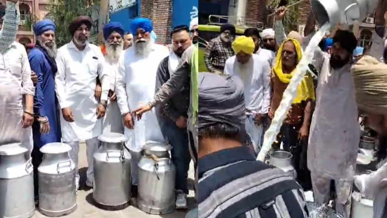 ਅੰਮ੍ਰਿਤਸਰ ਚ ਡੇਅਰੀ ਕਿਸਾਨਾਂ ਦਾ ਵੱਡਾ ਰੋਸ ਪ੍ਰਦਰਸ਼ਨ, ਮਿਲਾਵਟਖੋਰਾਂ ਖ਼ਿਲਾਫ਼ ਕਾਰਵਾਈ ਦੀ ਮੰਗ ਅੰਮ੍ਰਿਤਸਰ ਚ ਡੇਅਰੀ ਕਿਸਾਨਾਂ ਦਾ ਵੱਡਾ ਰੋਸ ਪ੍ਰਦਰਸ਼ਨ, ਮਿਲਾਵਟਖੋਰਾਂ ਖ਼ਿਲਾਫ਼ ਕਾਰਵਾਈ ਦੀ ਮੰਗ