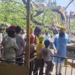 ਅੰਮ੍ਰਿਤਸਰ: ਦਰਬਾਰ ਸਾਹਿਬ ਦਰਸ਼ਨਾਂ ਲਈ ਆਏ ਨੌਜਵਾਨ ਦੀ ਮੌਤ, ਦਹਾਕਿਆਂ ਪੁਰਾਣੇ ਦਰੱਖਤ ਡਿੱਗਣ ਕਾਰਨ ਵਾਪਰਿਆ ਹਾਦਸਾ