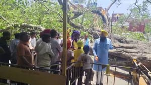ਦਰਬਾਰ ਸਾਹਿਬ ਦਰਸ਼ਨਾਂ ਲਈ ਆਏ ਨੌਜਵਾਨ ਦੀ ਮੌਤ, ਦਰੱਖਤ ਡਿੱਗਣ ਕਾਰਨ ਵਾਪਰਿਆ ਹਾਦਸਾ