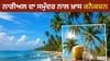 ਸਮੁੰਦਰ ਕਿਨਾਰੇ ਹੀ ਕਿਉਂ ਉੱਗਦੇ ਹਨ ਨਾਰੀਅਲ ਦੇ ਦਰੱਖਤ? 99% ਲੋਕਾਂ ਨੂੰ ਨਹੀਂ ਪਤਾ...