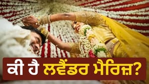 ਲਵ ਮੈਰਿਜ਼ ਤੋਂ ਬਾਅਦ ਹੁਣ ਲਵੈਂਡਰ ਮੈਰਿਜ਼ ਦਾ ਟ੍ਰੈਂਡ, ਜਾਣੋ ਕੀ ਹੈ ਨਵਾਂ ਰਿਸ਼ਤਾ ਲਵ ਮੈਰਿਜ਼ ਤੋਂ ਬਾਅਦ ਹੁਣ ਲਵੈਂਡਰ ਮੈਰਿਜ਼ ਦਾ ਟ੍ਰੈਂਡ, ਜਾਣੋ ਕੀ ਹੈ ਨਵਾਂ ਰਿਸ਼ਤਾ