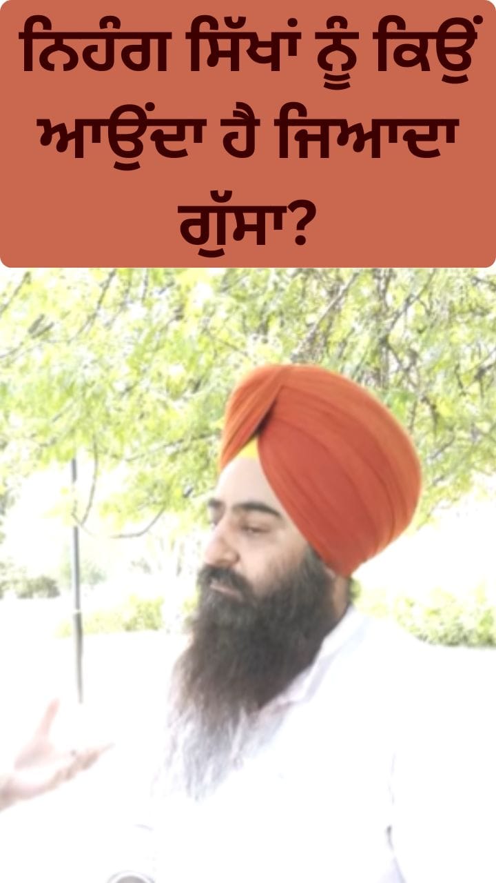 Nihang Singh: ਨਿਹੰਗ ਸਿੱਖਾਂ ਨੂੰ ਕਿਉਂ ਆਉਂਦਾ ਹੈ ਇੰਨਾ ਗੁੱਸਾ?