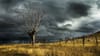 Weather: ਪੰਜਾਬ ਭਰ 'ਚ ਅੱਜ ਹਨੇਰੀ-ਤੂਫ਼ਾਨ ਦਾ ਅਲਰਟ ਤੇ ਬਾਰਿਸ਼ ਦੀ ਭਵਿੱਖਬਾਣੀ...