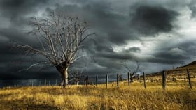 Punjab Weather: ਪੰਜਾਬ ਭਰ ‘ਚ ਅੱਜ ਹਨੇਰੀ-ਤੂਫ਼ਾਨ ਦਾ ਅਲਰਟ ਤੇ ਬਾਰਿਸ਼ ਦੀ ਭਵਿੱਖਬਾਣੀ, ਜਾਣੋ ਮੌਸਮ ਦਾ ਹਾਲ...
