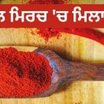 ਰਸੋਈ ‘ਚ ਇਸਤੇਮਾਲ ਹੋ ਰਹੀ ਲਾਲ ਮਿਰਚ ‘ਚ ਮਿਲਾਵਟ ਤਾਂ ਨਹੀਂ… ਇਨ੍ਹਾਂ 4 ਆਸਾਨ ਟੈਸਟਾਂ ਨਾਲ ਪਤਾ ਲਗਾਓ