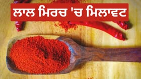 ਰਸੋਈ ‘ਚ ਇਸਤੇਮਾਲ ਹੋ ਰਹੀ ਲਾਲ ਮਿਰਚ ‘ਚ ਮਿਲਾਵਟ ਤਾਂ ਨਹੀਂ… ਇਨ੍ਹਾਂ 4 ਆਸਾਨ ਟੈਸਟਾਂ ਨਾਲ ਪਤਾ ਲਗਾਓ...