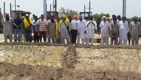 ਫ਼ਿਰੋਜ਼ਪੁਰ ਦੇ ਟੋਲ ਪਲਾਜ਼ਾ ਦੀ ਜ਼ਮੀਨ 'ਤੇ ਕਿਸਾਨਾਂ ਨੇ ਜਤਾਇਆ ਹੱਕ, ਬੀਜਿਆ ਝੋਨਾ