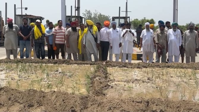 ਫ਼ਿਰੋਜ਼ਪੁਰ ਦੇ ਟੋਲ ਪਲਾਜ਼ਾ ਦੀ ਜ਼ਮੀਨ 'ਤੇ ਕਿਸਾਨਾਂ ਨੇ ਜਤਾਇਆ ਹੱਕ, ਬੀਜਿਆ ਝੋਨਾ