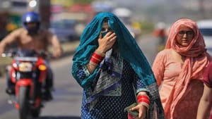 Punjab Weather: 9 ਜ਼ਿਲ੍ਹਿਆਂ 'ਚ ਲੂ ਦਾ ਅਲਰਟ, ਵੀਰਵਾਰ ਨੂੰ ਮਿਲ ਸਕਦੀ ਹੈ ਰਾਹਤ Punjab Weather: 9 ਜ਼ਿਲ੍ਹਿਆਂ 'ਚ ਲੂ ਦਾ ਅਲਰਟ, ਵੀਰਵਾਰ ਨੂੰ ਮਿਲ ਸਕਦੀ ਹੈ ਰਾਹਤ