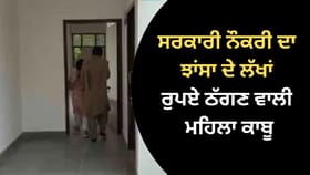 ਜਲੰਧਰ 'ਚ ਸਰਕਾਰੀ ਨੌਕਰੀ ਦਾ ਝਾਂਸਾ ਦੇ ਲੱਖਾਂ ਰੁਪਏ ਠੱਗਣ ਵਾਲੀ ਮਹਿਲਾ ਕਾਬੂ