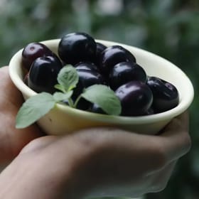 Monsoon Season Fruits: ਮਾਨਸੂਨ ਦੇ ਸੀਜ਼ਨ ਦੇ ਇਹ ਫਲ ਕਰੋ ਡਾਈਟ ਵਿੱਚ ਸ਼ਾਮਲ, ਪਾਚਨ ਰਹੇਗਾ ਦਰੁਸਤ
