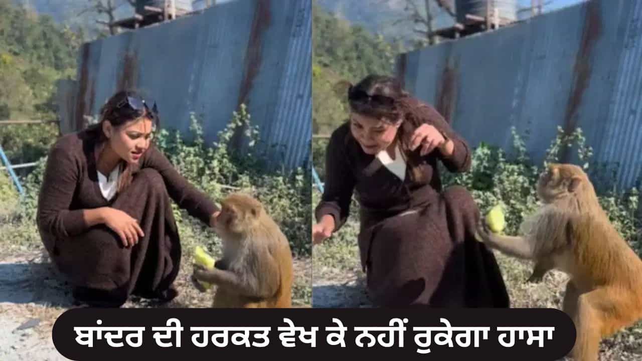 Funny Video: ਕੁੜੀ ਨੇ ਵਧਾਇਆ ਦੋਸਤੀ ਦਾ ਹੱਥ , ਬਾਂਦਰ ਨੇ ਕਰ ਦਿੱਤਾ ਕੁਝ ਅਜਿਹਾ ਕਿ VIDEO ਦੇਖ ਕੇ ਨਹੀਂ ਰੁਕੇਗਾ ਹਾਸਾ