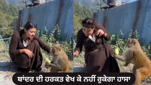 Funny Video: ਬਾਂਦਰ ਨੇ ਕੁੜੀ ਨਾਲ ਕੀਤਾ ਕੁਝ ਅਜਿਹਾ, ਵੇਖ ਕੇ ਨਹੀਂ ਰੁਕੇਗਾ ਹਾਸਾ