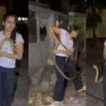 Snake Rescue Viral Video: ਸੱਪ ਨੂੰ ਦੇਖ ਡਰੇ ਲੋਕ, ਮਹਿਲਾ ਨੇ ਦਿਖਾਈ ਬੇਮਿਸਾਲ ਹਿੰਮਤ, ਵੀਡੀਓ ਹੋਇਆ ਵਾਇਰਲ