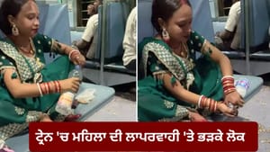 ਟ੍ਰੇਨ 'ਚ ਮਹਿਲਾ ਦੀ ਹਰਕਤ ਦੇਖ ਲੋਕਾਂ ਦਾ ਫੁੱਟਿਆ ਗੁੱਸਾ, Video ਹੋਇਆ ਵਾਇਰਲ