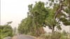 Weather: ਪੰਜਾਬ ਭਰ 'ਚ ਅੱਜ ਹਨੇਰੀ-ਤੂਫ਼ਾਨ ਦਾ ਅਲਰਟ ਤੇ ਬਾਰਿਸ਼ ਦੀ ਭਵਿੱਖਬਾਣੀ...